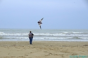 RIMINI 2012 - 031